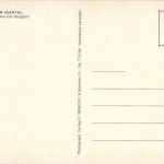 Grünwald - Blick vom Burgturm