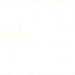 Freiburg - Albert Universitäts Buchhandlung