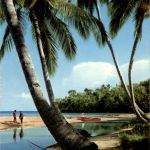 Ochos Rios - White River Cove