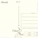 The Cook Strait Ferry