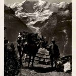 Grindelwald - Faulhornpost