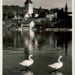 Spiez Schloss