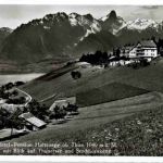 Hotel Haltenegg ob Thun