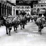Bad Ragaz - Heimkehr von der Alp