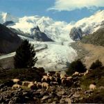 Morteratschgletscher