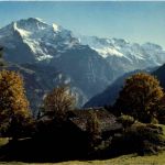 Sulwald ob Lauterbrunnen bei Isenfluh