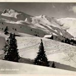 Skifelder bei den Kreuzhütten