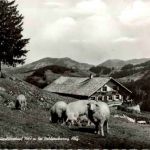 Bürgl Hütte bei Balderschwang