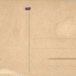 Chemin de fer du Salve