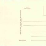 Wien - Im Stephansdom