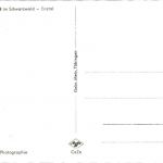 Wildbad im Schwarzwald - Enztal