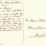 Rheinfelden - Partie am Rhein