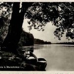 Rheinfelden - Partie am Rhein