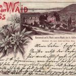 Gruss von der Waid bei St. Gallen - Litho