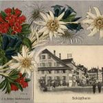 Gruss aus Schüpfheim - Prägekarte