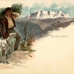 Blümlisalp - Goat Ziege