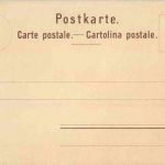 Blümlisalp - Goat Ziege