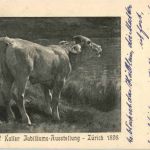 Zürich - rudolf Koller Ausstellung 1898