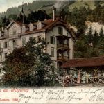 Grubisbalm am Rigiberg