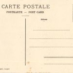 Brünig mit Oltschihörner - Cow Kuh