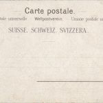 Gruss aus Süs - Murmeltier