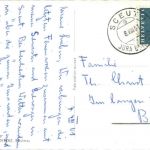 Au Paturage des Franches Montagnes - Horse