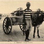 Gjibouti - Porteur de Sable