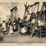 Djibouti - Escarpolettes