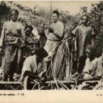 La preparation du raphia