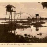 Visscherij in de Rawah Bening - Kediri - fishing