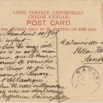 Cylon - Bullock Hackeries