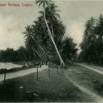 Cylon - The sea Cosast Reilway - Train