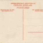 Cylon - The sea Cosast Reilway - Train