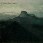 Cylon - The shadow of Adams Park