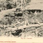 Prigen - Weg naar t Diana Bad