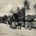 Ceylon - Road scene Colpetty