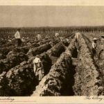 Soerabaia - The filling of the ground