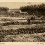 Soerabaia - The filling of the ground