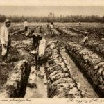 Soerabaia - The digging of the plant channels