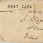 Singapore - Travaler Tree