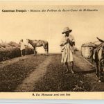 Cameroun