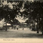 Boma - Avenue Royale