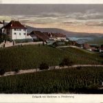 Erlach