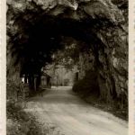 Col des Roches pres Le Locle
