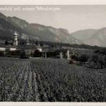 Maienfeld mit Weinbergen