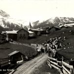 Latsch - Heimkehr der Schafe