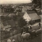 Boncourt mit schafen