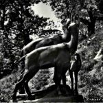 Chateau d Oex - Les Chamois