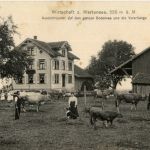 Rorschach - Zeppelin