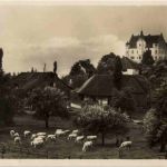 Stettfurt - Schloss Sonnenberg